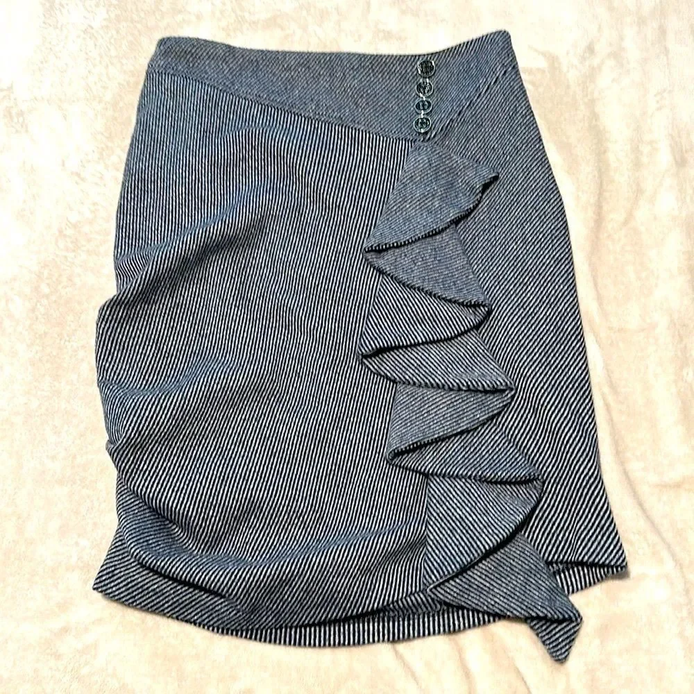 Eva Franca French Designer Wool Pinstripe Skirt